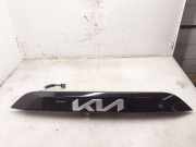 Kennzeichenbeleuchtung KIA NIRO II EV 87312AT000