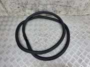 Türgummi rechts vorne Audi A4 (8W, B9) 8W5833721B