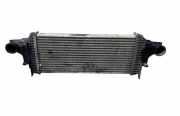 Ladeluftkühler MERCEDES-BENZ M (W164) ML 320 CDI 4-matic (164.122) A1645001900