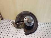 Radlagergehäuse rechts hinten VW Golf V Plus (5M, 521)