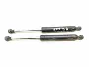 Heckklappe Gasdruckfeder links CITROËN C3 Pluriel (HB_) 1.6 9648710980