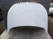 Motorhaube Land Rover Range Rover Evoque I (L538)