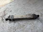 Ladeluftkühler RENAULT LAGUNA III (BT0/1) 2.0 dCi (BT01, BT09, BT12, BT1S) 144610001N