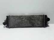 Ladeluftkühler RENAULT TRAFIC II Furgon (FL) 2.0 dCi 115 (FL01, FL0U) 8200411160