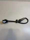 Sauerstoffsensor (Lambdasensor) FORD TRANSIT 2.2 TDCi GK219Y460