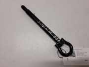 Abschleppöse Renault Grand Scenic II (JM) 5194633607