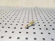 Bremspedalsensor Varlytė AUDI 80 Avant (8C, B4) 2.0 443945515