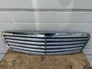 Ziergitter Mercedes-Benz S-Klasse (W220) A2208800383