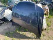 Motorhaube HYUNDAI GRANDEUR (TG) 3.3 664003L200