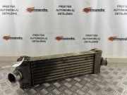 Ladeluftkühler Ford Transit Pritsche (F**6) 6C119L440AC