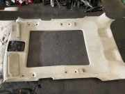 Dachverkleidung LAND ROVER RANGE ROVER SPORT II (L494) 3.0 D 4x4