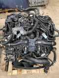 Motor ohne Anbauteile (Benzin) Land Rover Range Rover Sport (L320) 368DT