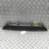 Kühlergrill unten Jaguar F-Pace (X761) HK8M17H750A