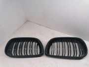 Vorderer oberer Gitter BMW 3 Compact (E46) 320 td