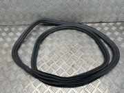 Türgummi rechts hinten BMW 5er Touring (G31) 7337003