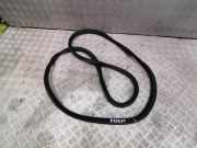 Türgummi rechts vorne Citroen Jumpy I Kasten (BS)