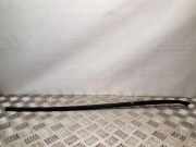 Zierleiste Windschutzscheibe Frontscheibe VW PASSAT B7 ALLTRACK (365) 2.0 TDI 3C0854327B