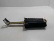 Türanschlag vorne rechts