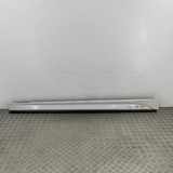 Schweller aus Kunststoff links