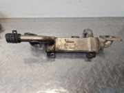 Abgaskühler VW Sharan (7M) 038131513C