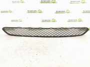Gitter vorne unten MERCEDES-BENZ GLS (X166) 500 4-matic (166.873) A1668857822