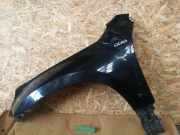 Kotflügel links vorne Suzuki Grand Vitara II (JT, TD, TE)