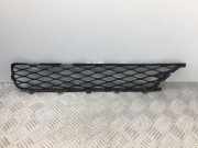 Gitter vorne unten MERCEDES-BENZ R (W251, V251) R 350 4-matic (251.065, 251.165)