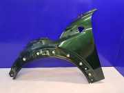 Kotflügel vorne links