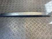 Kennzeichenbeleuchtung Verkleidung FORD S-MAX 2.0 TDCi ABMAM376 6M21R43404