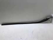 Zierleiste Windschutzscheibe Frontscheibe VOLVO S60 II DRIVe / D2 31335865