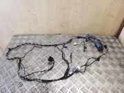 Türverkabelung hinten links BMW X3 (F25) xDrive 20 d 9243667 9243664