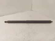 Heckklappe Gasdruckfeder rechts MERCEDES-BENZ M (W164) ML 320 CDI 4-matic (164.122) A1647400445