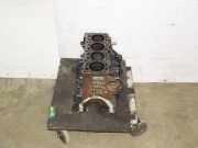 Motorblock Audi A6 (4F, C6) CAHA