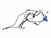 Kabel Tür Porsche Cayenne 2 (92A) 958971121H