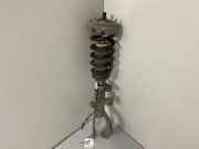 Stoßdämpfer vorne links BMW X5 (F15, F85) xDrive 40 d 6863173