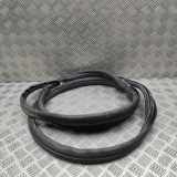 Türgummi links vorne Ford Tourneo Custom V362 Bus (F3) JK21V20708AB