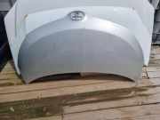 Motorhaube TOYOTA URBAN CRUISER (_P1_) 1.4 D-4D (NLP110_) 745672504