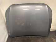 Motorhaube AUDI Q5 (8R) 3.0 TDI quattro LY7G