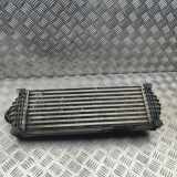 Ladeluftkühler FORD TRANSIT CUSTOM Minibus / passenger 2.0 TDCi GK21-6K775-AE