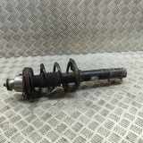 Stoßdämpfer hinten links PORSCHE CAYMAN (987) 2.9 987333051