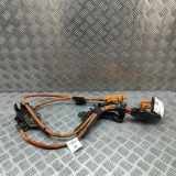 Kabelbaum VW ID.4 (E21) PURE 1EA971015T