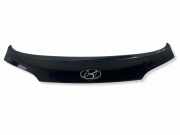Kofferraumdeckelverkleidung HYUNDAI ix35 (LM, EL, ELH) 1.7 CRDi
