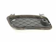 Gitter Grill vorne links BMW X3 (F25) xDrive 20 d 7249595