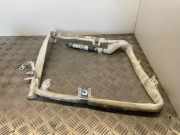 Dach SRS rechts BMW X5 (E70) xDrive 30 d 6162718C 6162718