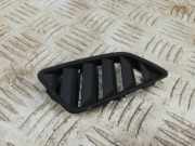 Ziergitter Audi A4 Allroad (8W, B9)