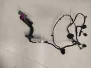 Türverkabelung hinten links