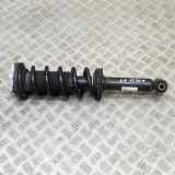 Stoßdämpfer hinten links