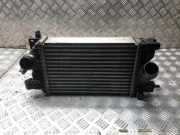 Ladeluftkühler OPEL MERIVA B 1.4 13337687