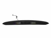 Gehäuse für Kennzeichenleuchte Hyundai Santa Fe II (CM) 873112B000