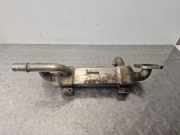 Abgaskühler VW Sharan (7M) 038131513C